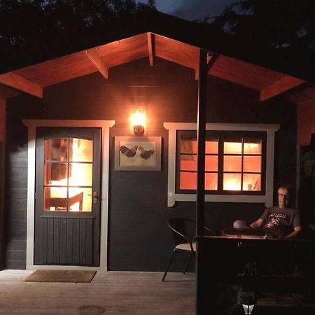 Unique Tiny House Near 3 Peaks - The Zedshed Apartment Bentham Luaran gambar