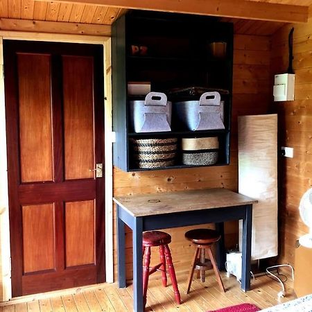 Unique Tiny House Near 3 Peaks - The Zedshed Apartment Bentham Luaran gambar