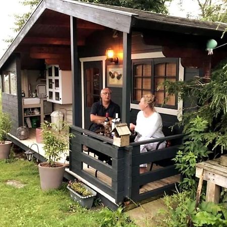 Unique Tiny House Near 3 Peaks - The Zedshed Apartment Bentham Luaran gambar