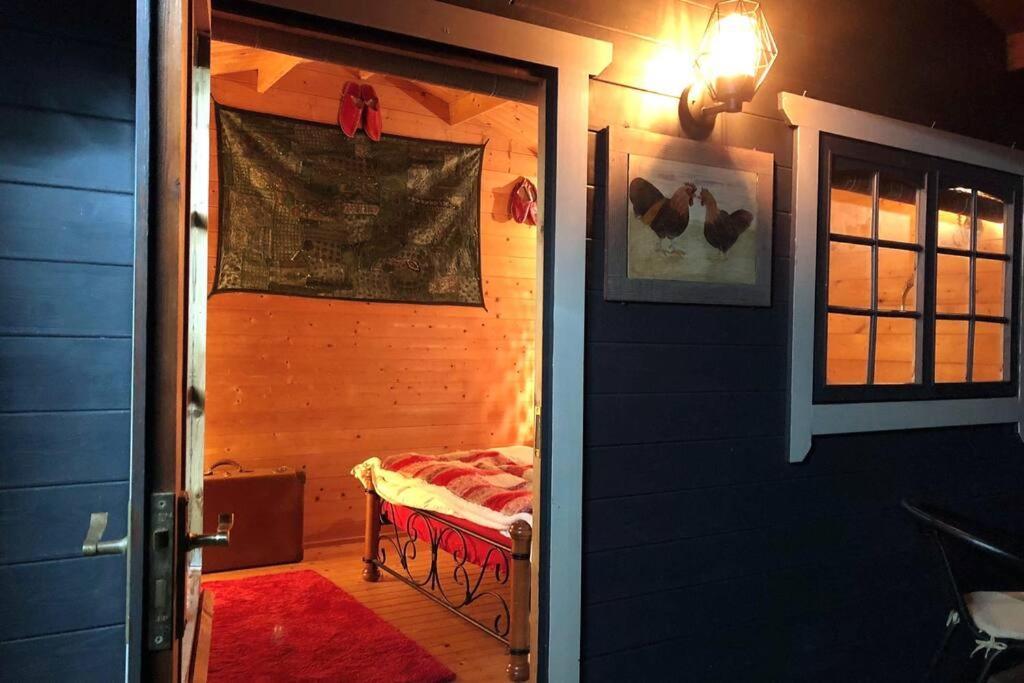 Unique Tiny House Near 3 Peaks - The Zedshed Apartment Bentham Luaran gambar